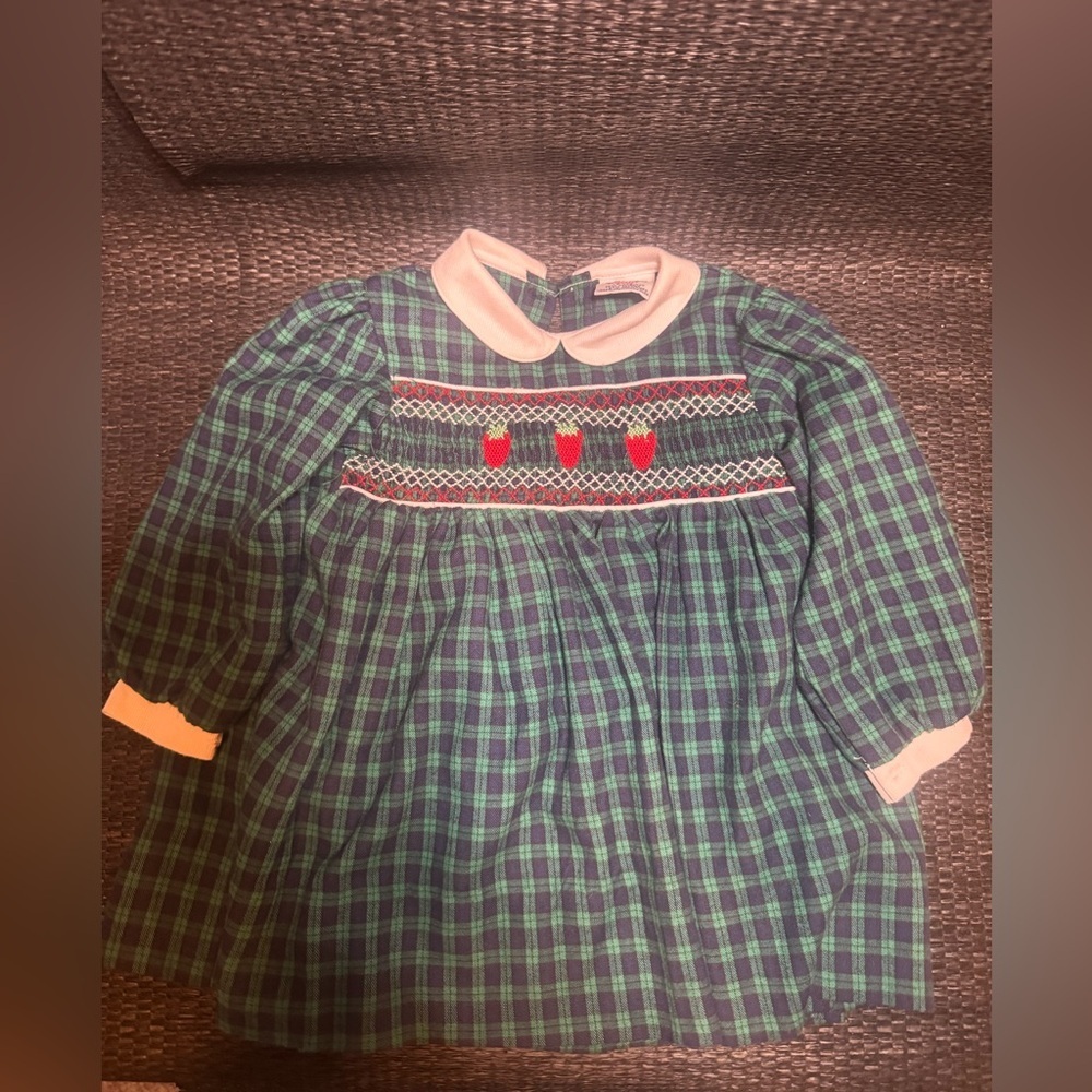 Freitag Green Plaid Dress with Strawberries - Picture 1 of 7